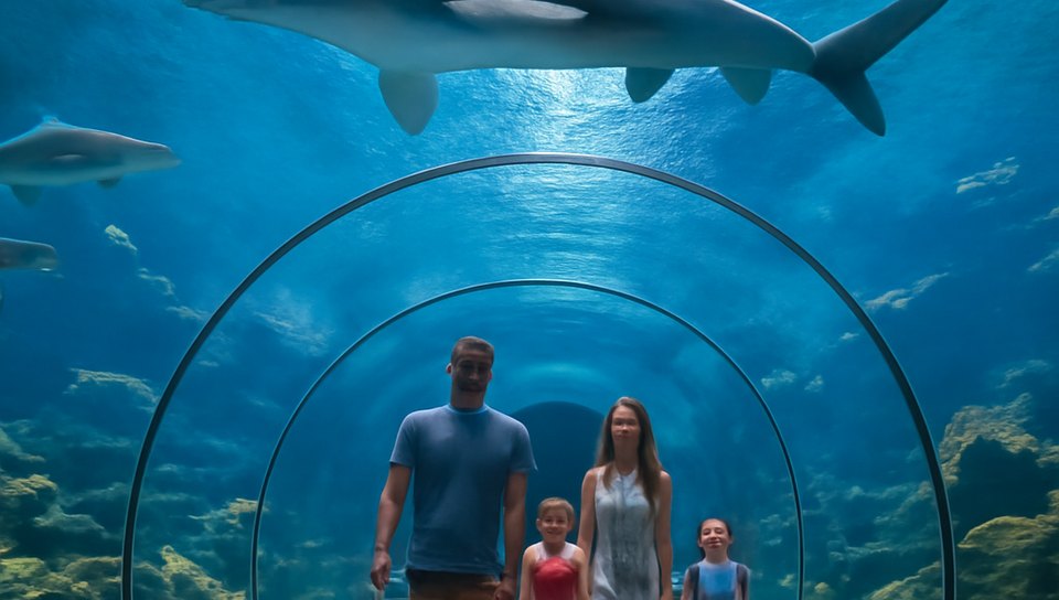 Antalya Aquarium